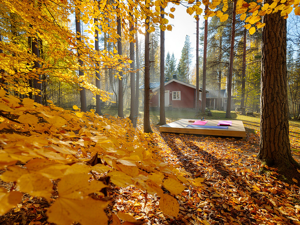 Fridfull miljö för höstretreat i Dalarna